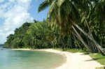 Playa de la Crique - Isla de Sainte Marie