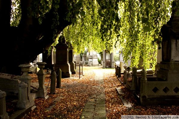 Otoño en el cementerio
Colores otoñales en el cementerio Laeken. Bruselas
