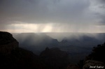 LLegó la lluvia