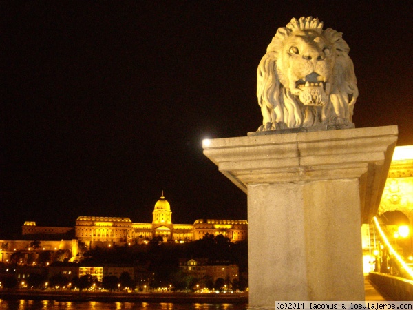 Palacio Real (Budapest)
Palacio Real de Buda, visto desde el puente de las Cadenas
