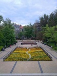 Tulipanes Budapest