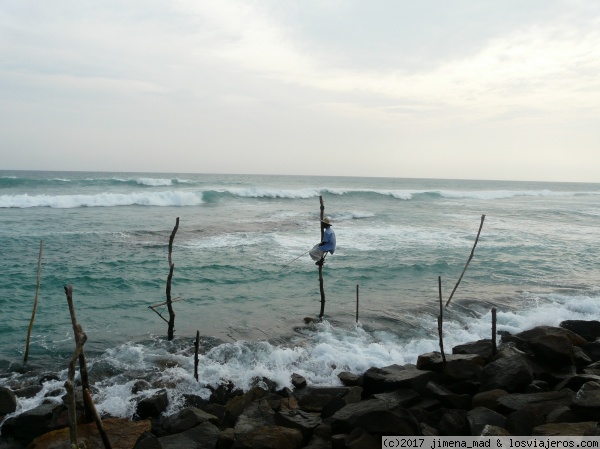 Stilt Fishermen
Sistema de pesca exclusivo de Sri Lanka.
