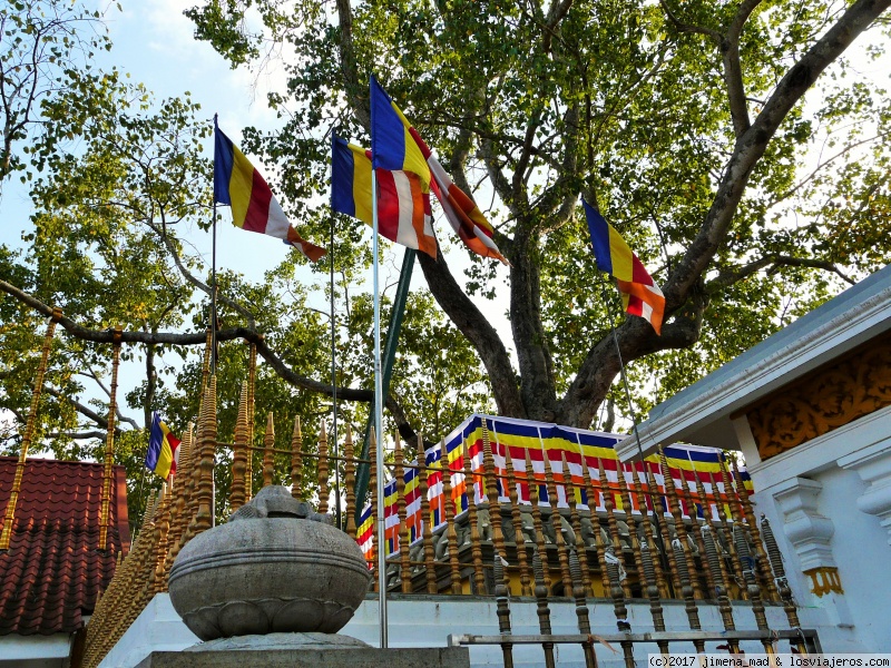 Día 2 Habarana, Gran Buda de Aukana, Mihintale, Anuradhapura - Maravilloso Sri Lanka, ese pequeño gran país (6)