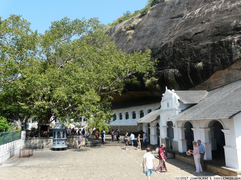 Día 4 Dambulla, Matale, Kandy - Maravilloso Sri Lanka, ese pequeño gran país (2)
