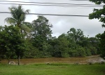 Río Copán, frontera natural, la orilla de enfrente es Guatemala (Belice)
río, copan, guatemala, belice