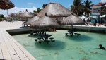 Bar acuático en el Split, Caye Caulker (Belice)