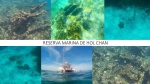 Reserva Marina de Hol Chan, Belice
reserva, marina, hol chan, snorkel