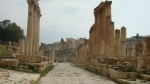 Jerash
Cardo máxixo de Jerash