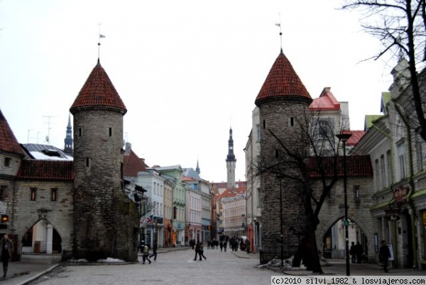 Puerta Viru de Tallinn
Es una de las puertas de acceso al centro histórico de Tallinn. Al fondo se ve la torre del Ayuntamiento.
