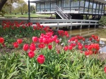 Parque Planten un Blomen.
Parque, Planten, Blomen