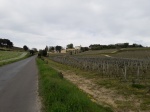 La cuesta entre viñedos que nos llevaría a  Saint-Émilion