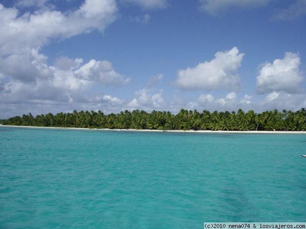 ISLA SAONA (PUNTA CANA)
