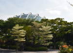 Gardens by the Bay