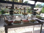 Buffet de Chocolates en el Hemingway (2)