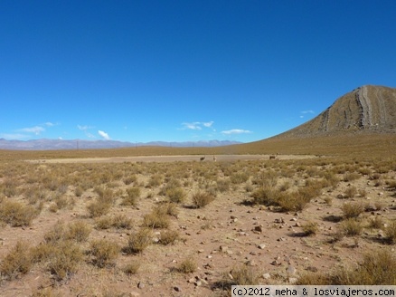 Camino a la laguna Colorada de La Quiaca
Unas vicuñas en el camino a la laguna colorada de La Quica, en la puna de Jujuy
