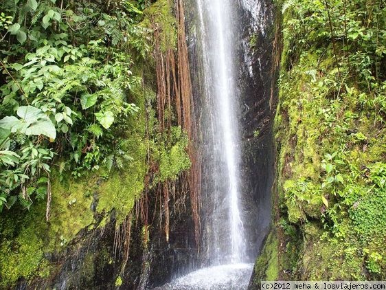 Cascada en Coroico
Recorriendo la ruta de las cascadas en Coroico, rodeado de vegetación exhuberante
