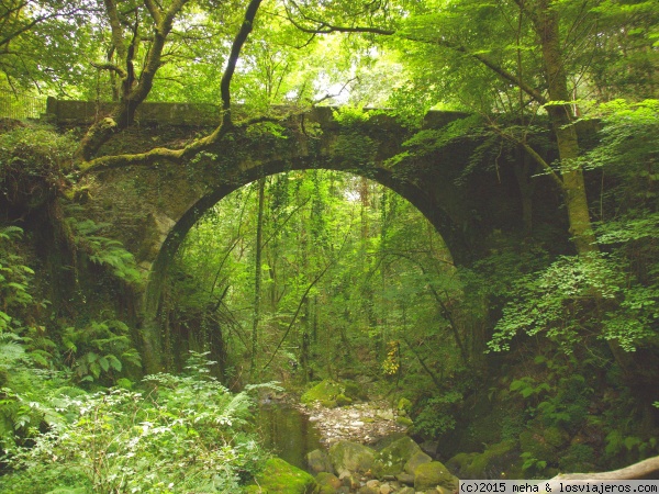 Fragas del Eume. Puente de Caaveiro
Puente en el camino medieval de acceso al monasterio de Caaveiro
