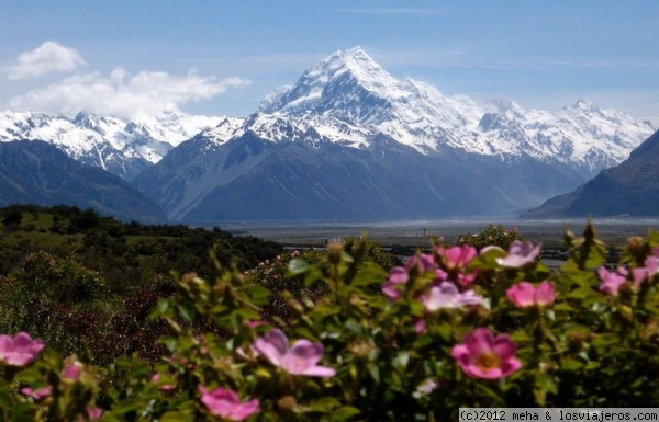 Los Alpes neozelandeses en su primavera
Los campos de Nueva Zelanda se llenan de flores en diciembre, en la primavera austral, y el contraste con las montañas nevadas de los Alpes neozelandeses es espectacular. En la imagen, el monte Cook, la montaña más alta de Oceanía
