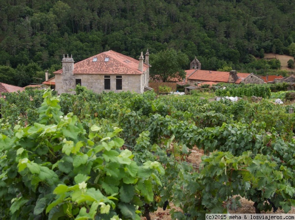 Pazos de Arenteiro
Aldea histórica en la comarca de O Ribeiro (Ourense). Pazos entre viñedos
