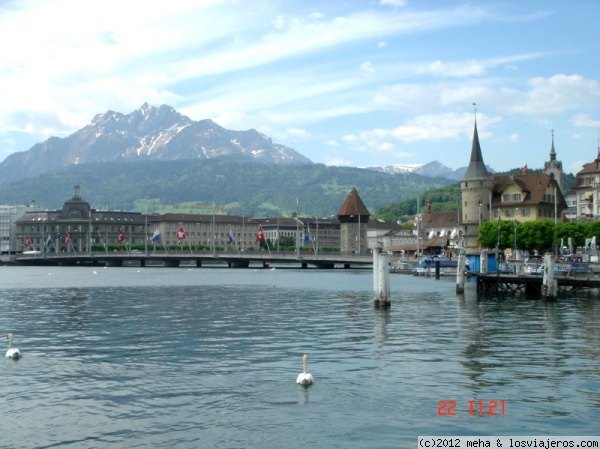 Lucerna
con los cisnes en el lago
