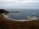 Costa de Kaikoura