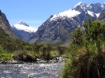 Camino a Milford Sound
Milford