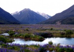 Paisajes de Arthur Pass
