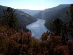 Cañón del río Miño
Miño Lugo Galicia