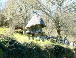 Hórreo típico de una aldea de la Ribeira Sacra