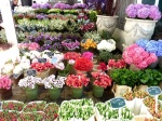 Mercado de las flores de Amsterdam