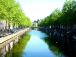 Arboles en los canales
canal Amsterdam