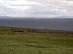 Bahía Inútil
Bahía Inútil Tierra del Fuego