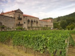Viñedos del Monasterio de San Clodio (Ourense)