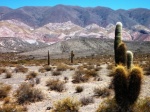 Parque nacional de los Cardones (Salta)