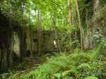 Molino en el Camino Real de Sargadelos