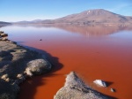 Laguna Colorada Bolivia