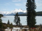 Lago Maligne
lago Maligne Jasper