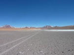 Camino a la laguna de Santa María en Tolar Grande (puna de Salta)