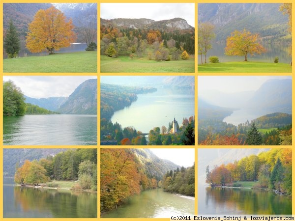 Bohinj en otońo
Bohinj ( Los Alpes Julianos , Eslovenia ) en otońo.:
Lago de Bohinj , arboles , río Sava Bohinjka
