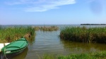 La barca de la Albufera de Valencia