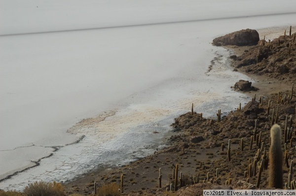 Salar de Uyuni
Lo que antes era una playa, ahora sólo es la frontera entre la tierra y la sal.
