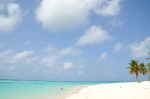 Isla Saona
Saona Gringo