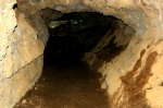 CUEVA DEL VIENTO
cueva del viento