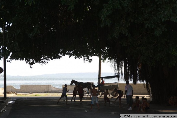 a la sombra
Niños jugando a fútbol a la sombra de un árbol
