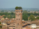 lucca