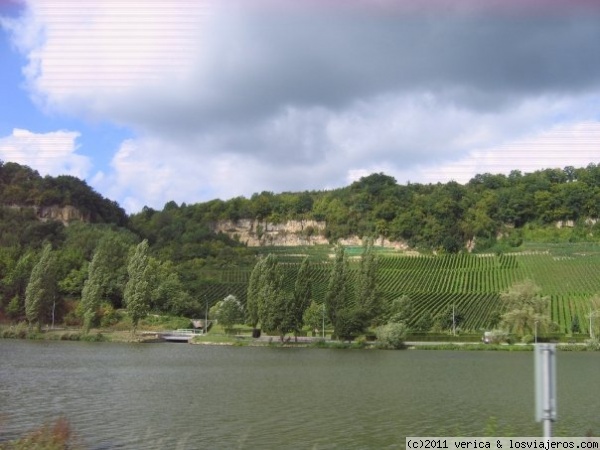 Luxemburgo
Viñedos a orillas del río. Luxemburgo
