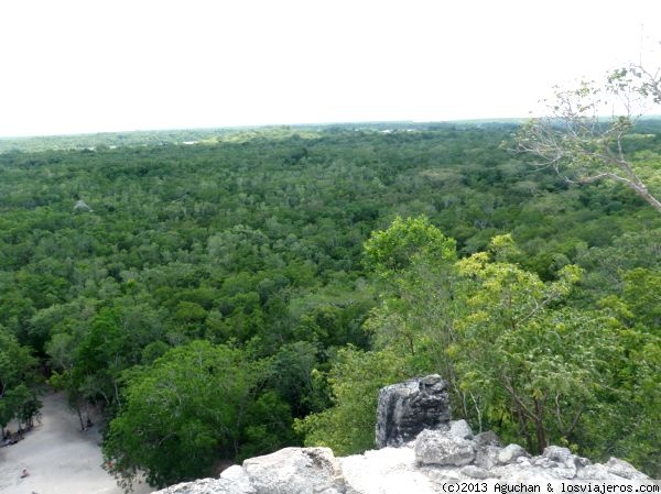 Piramide Nohoch Mul Coba
Vista de la selva desde la parte superior de la pirámide de Nohoch Mul en Coba
