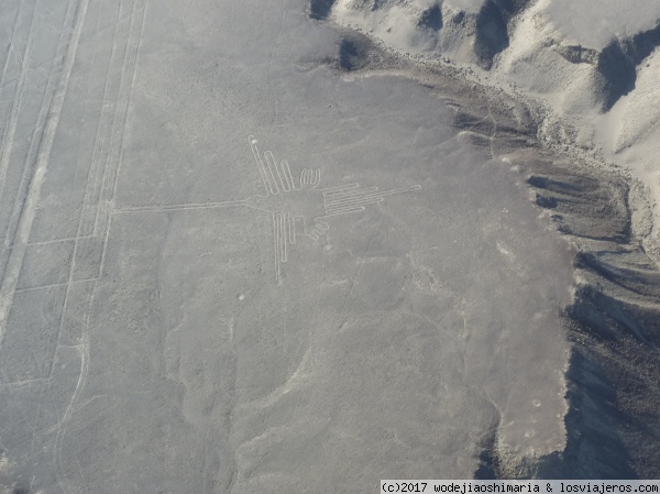 Colibri
Lineas de Nasca
