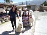 Valle Colca
Valle, Colca