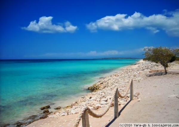 Bahia de las Aguilas -Barahona (Republica Dominicana)
Playa en Bahia de las Aguilas en el Suroeste de la Republica Dominica donde no ha llegado aun el turismo masivo.......por suerte.
